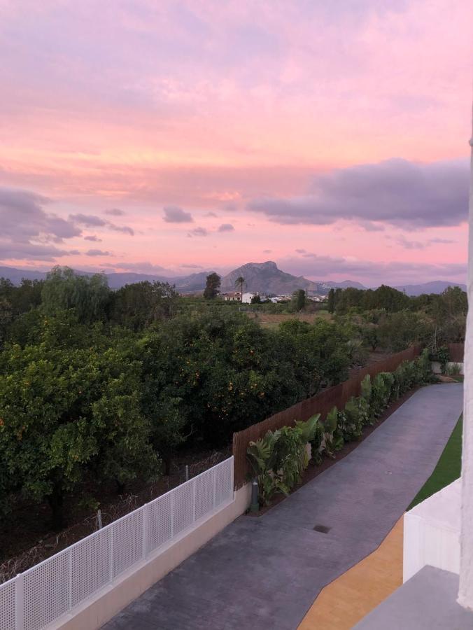 Sunny Apartment In Denia With Outdoor Swimming Pool And Garage Parking Place Included, 300M From The Sandy Beach Buitenkant foto